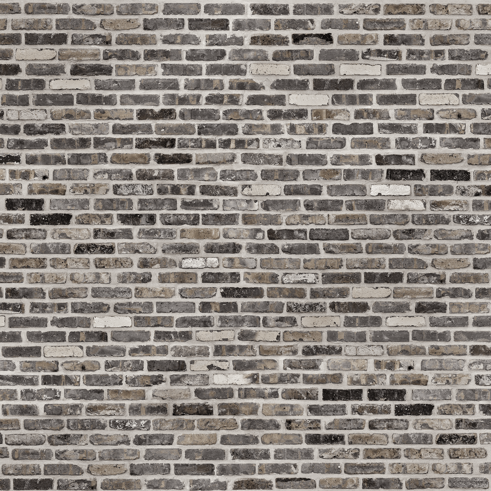 1946x1946 Chicago Brick Graystone Traditional and Removable Wallpaper