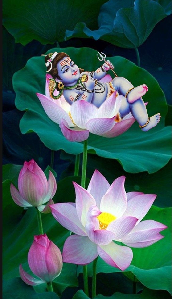 730x1262 Baby Lord Shiva Wallpaper