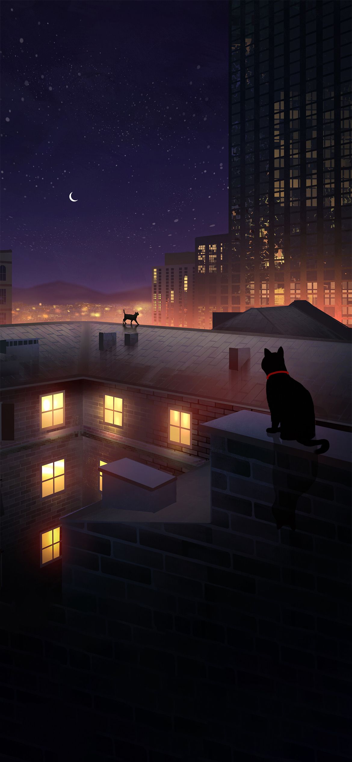 Cat Night Wallpapers - Top Free Cat Night Backgrounds - Wallpaperaccess