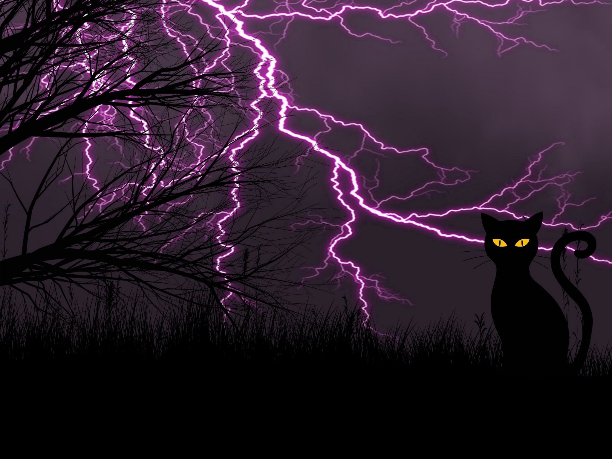 Cat Night Wallpapers - Top Free Cat Night Backgrounds - WallpaperAccess