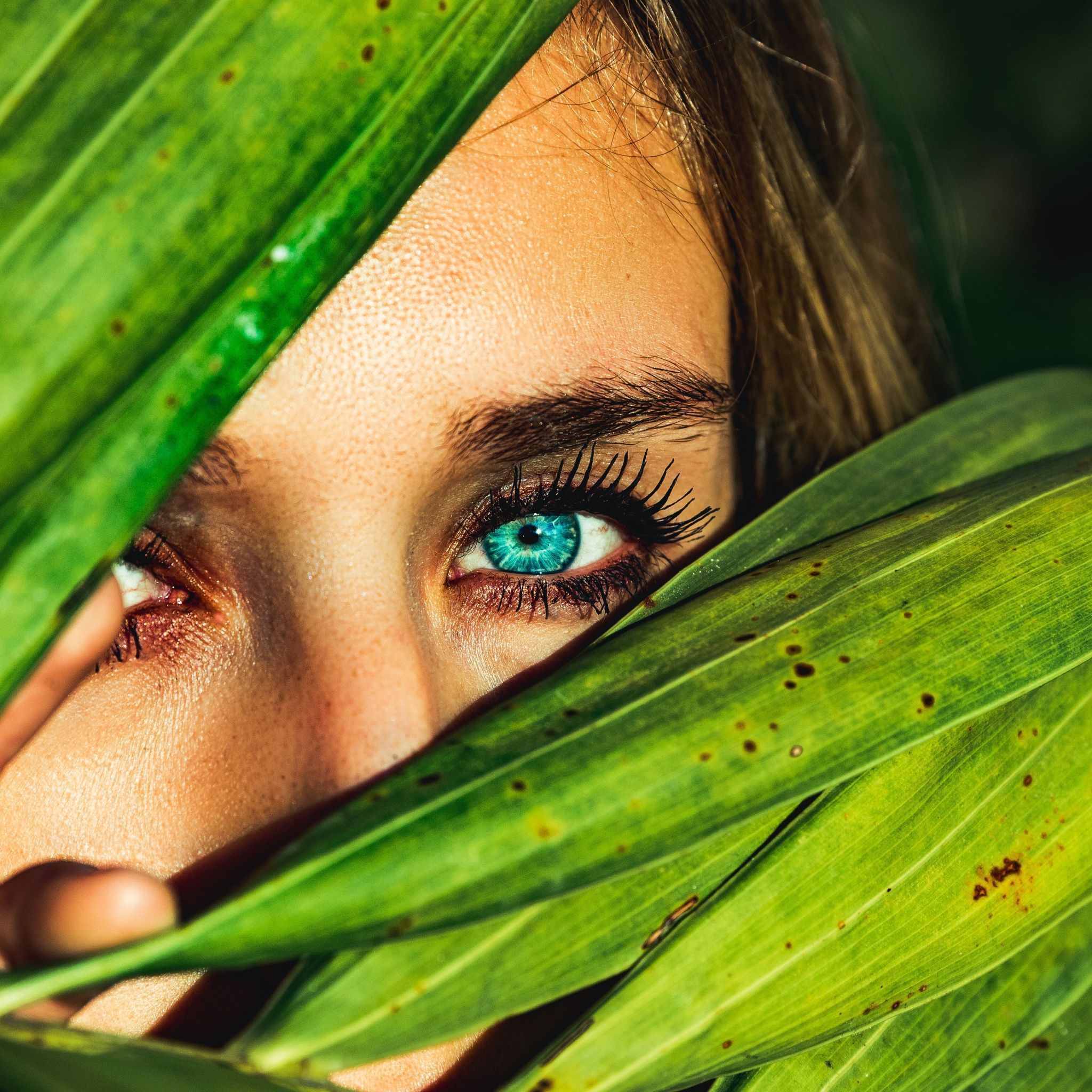 2048x2048 Blue eyes Wallpaper 4K, Green leaves, Woman face, Macro