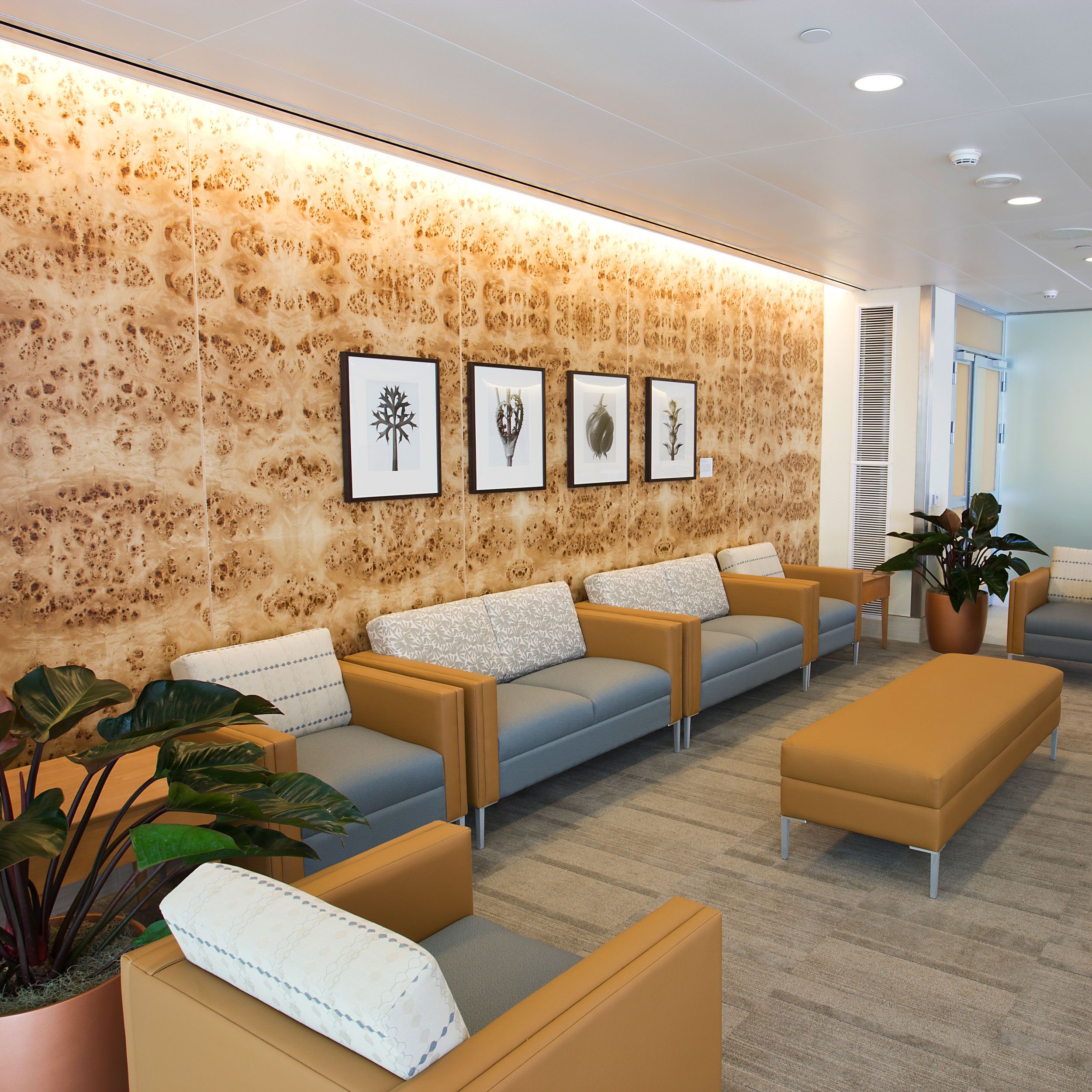 2500x2500 Seidman Cancer Center