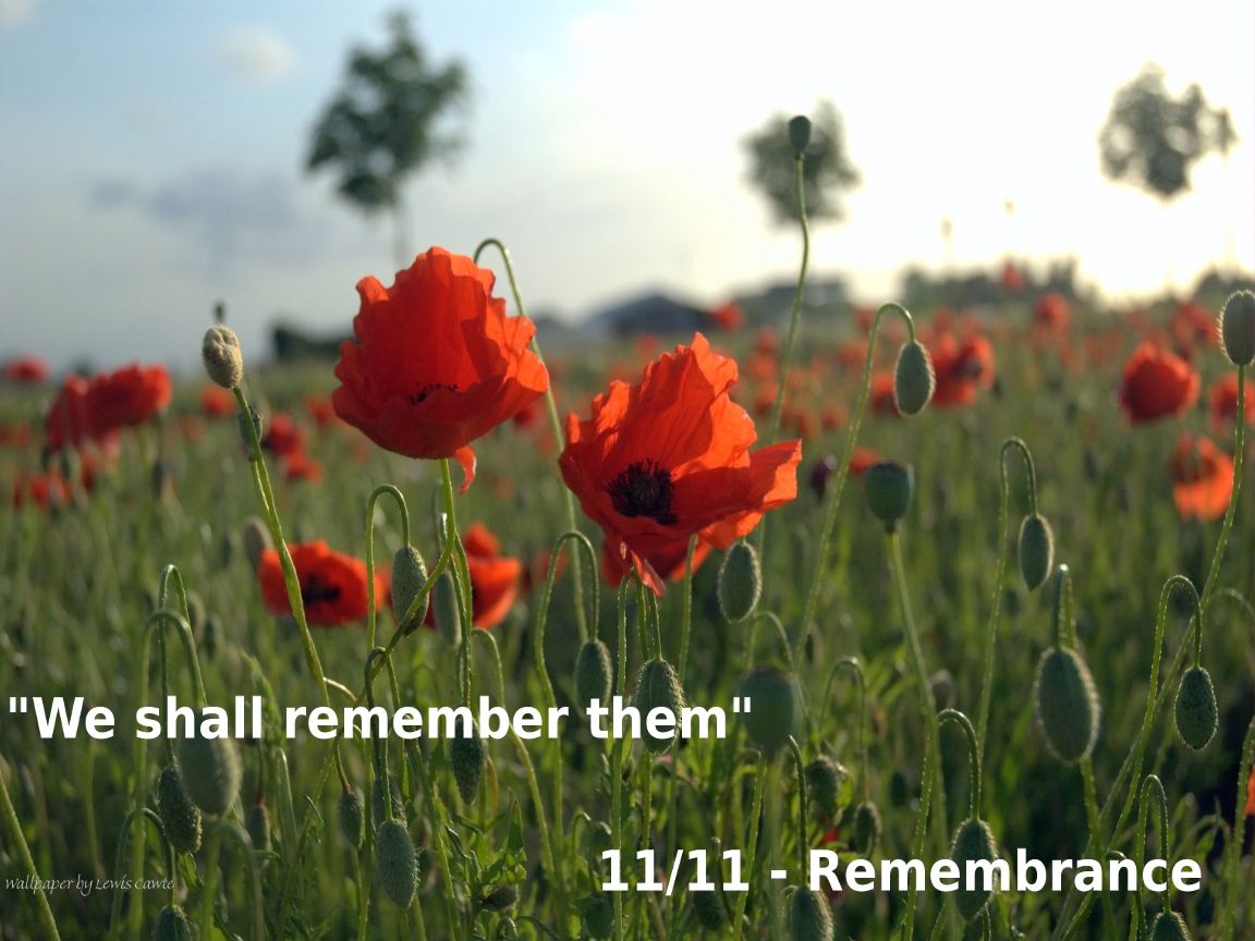 Remembrance Day Wallpapers - Top Free Remembrance Day Backgrounds 