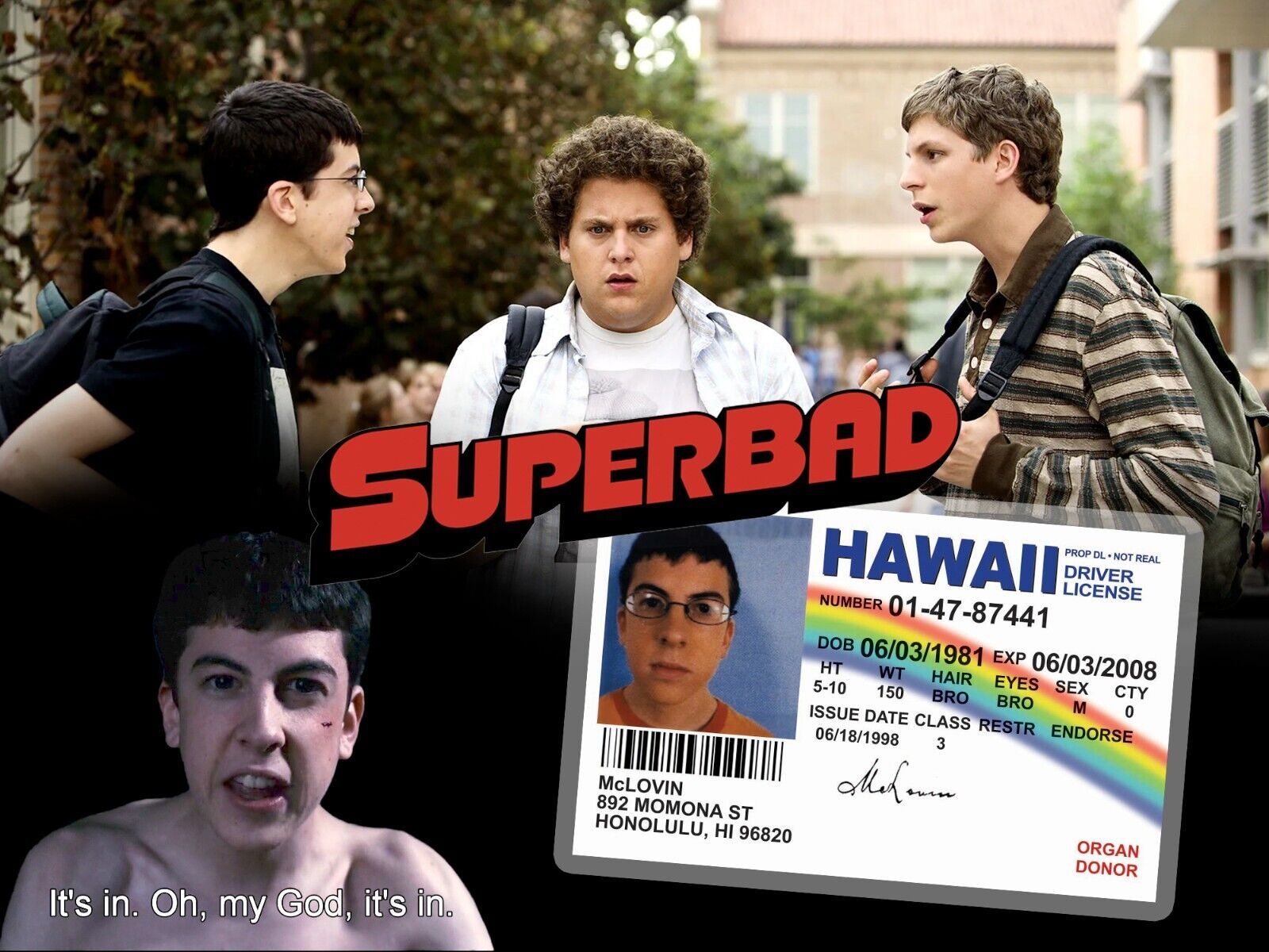 1600x1200 MCLOVIN FAKE ID CARD Super Bad Fogell HI Hawaii Prop Drivers License