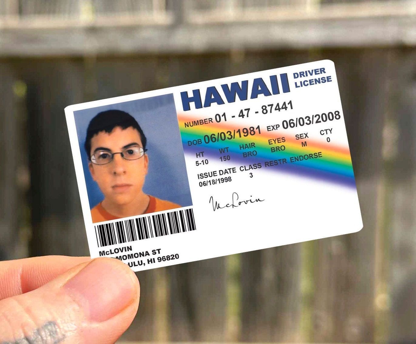 1371x1132 Mclovin License