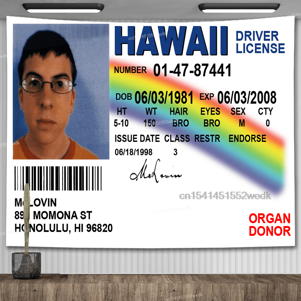 1000x1000 McLovin ID Flag Banner Tapestry Funny Hawaii Driver License Meme Tapestry Aesthetic Room Decor Tapestries Wall Hanging Tapices