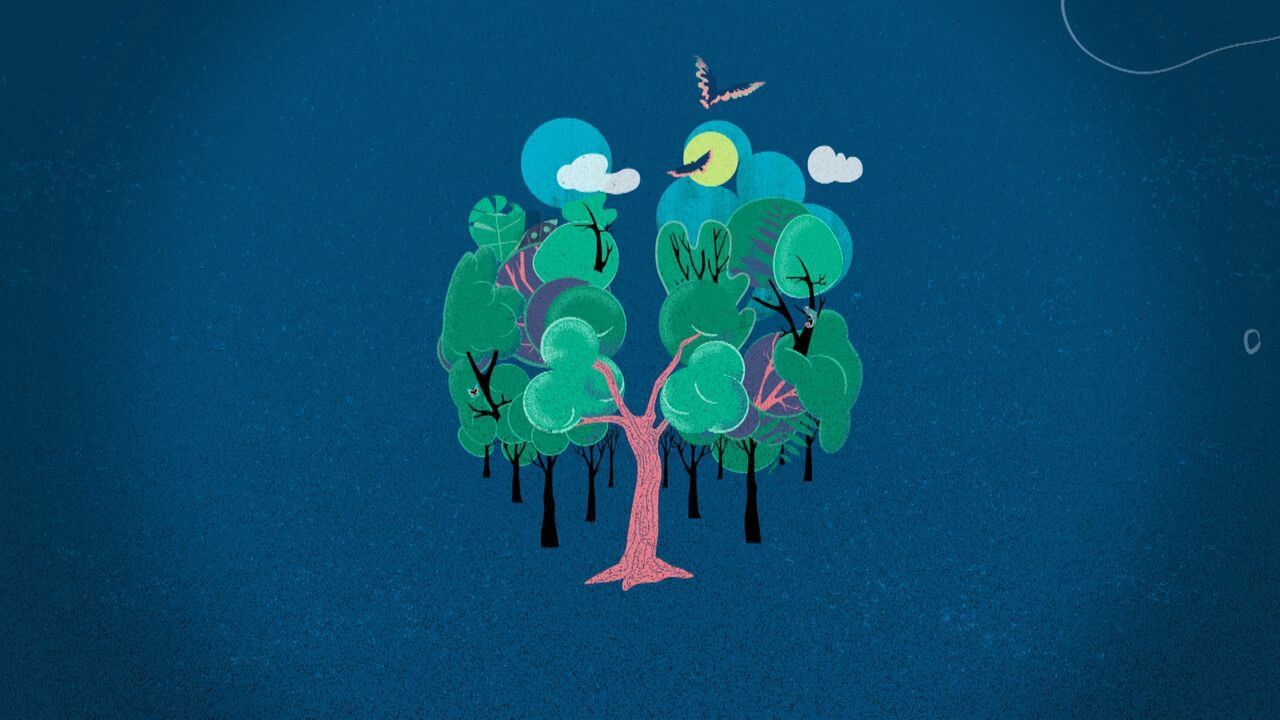 Storytelling Wallpapers - Top Free Storytelling Backgrounds