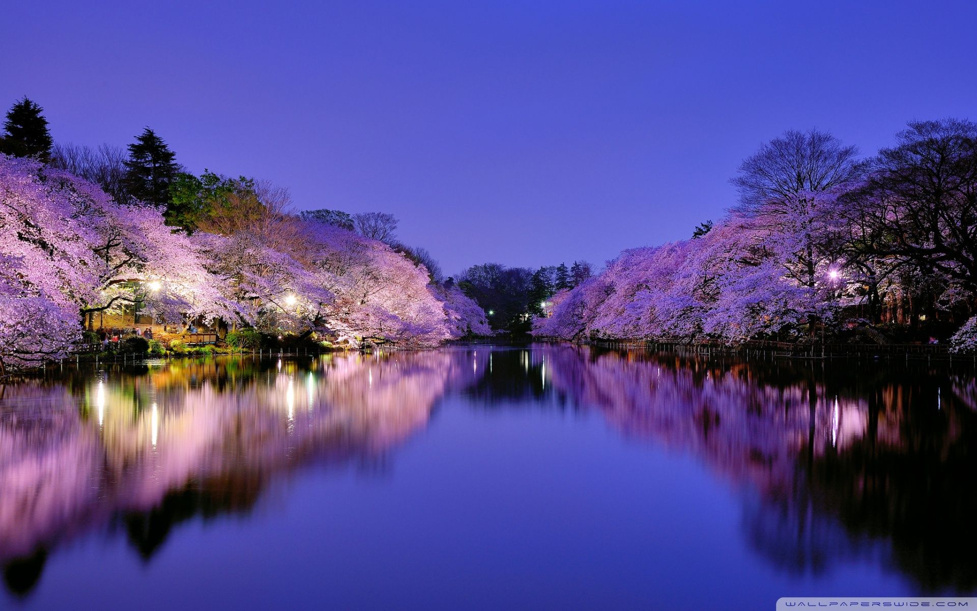 1920x1200 Free download Osaka Japan 4K HD Desktop Wallpaper for 4K Ultra HD TV Wide [1920x1200] for your Desktop, Mobile & Tablet. Explore Osaka Wallpaper. Osaka Wallpaper