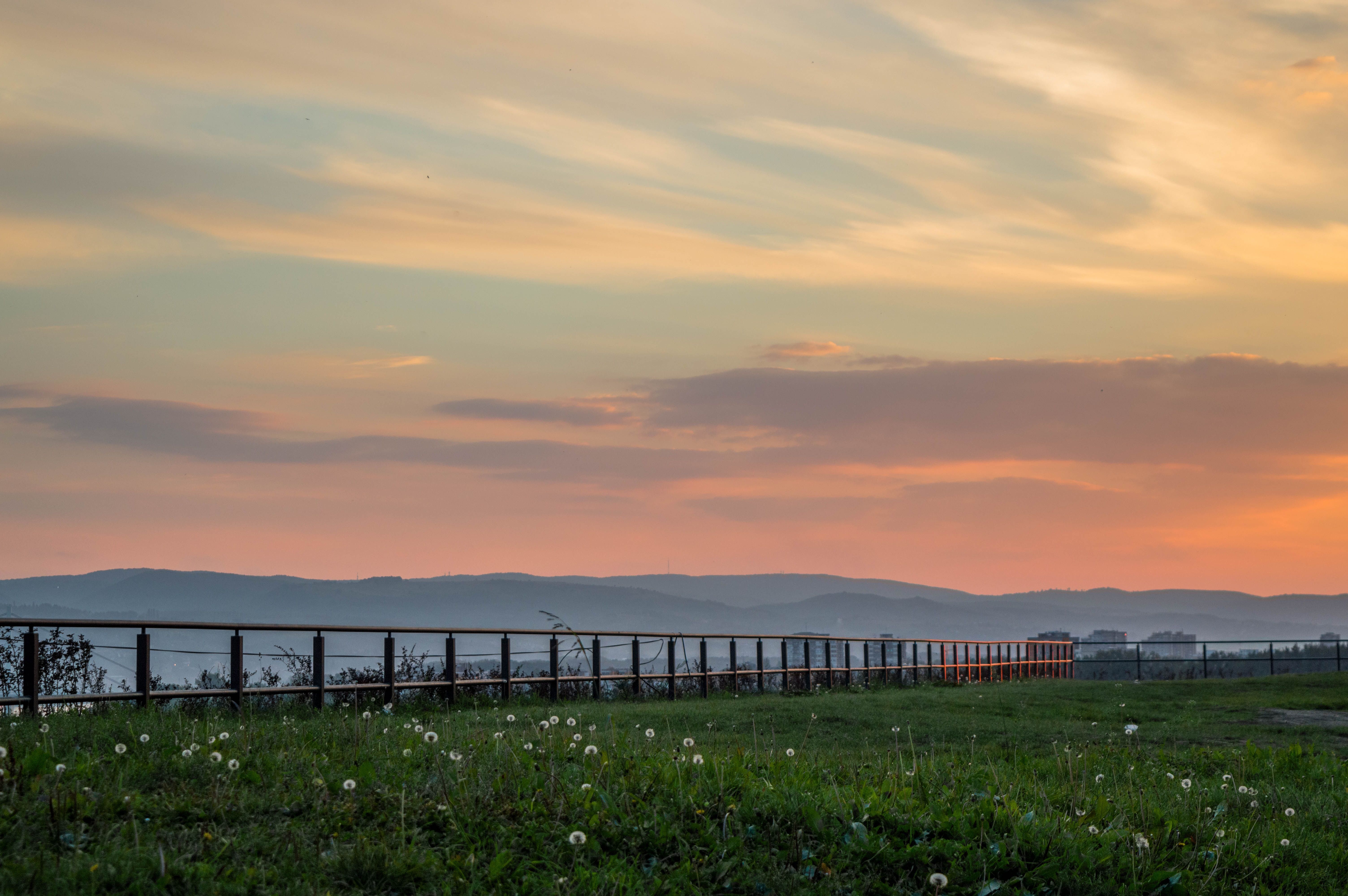 6016x4000 Mobile wallpaper: Petrovaradin, Serbia, Novi Garden, Novi Sad, Grass, Nature, 74092 download the picture for free