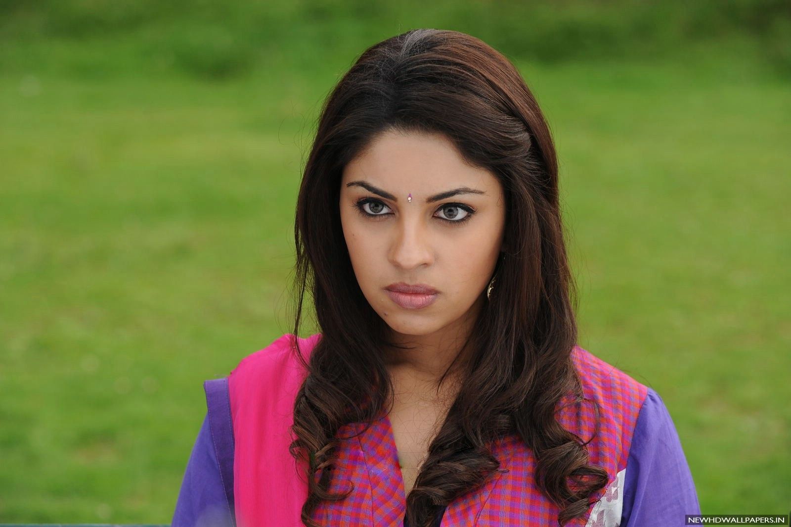1600x1065 Richa Gangopadhyay Hot HD Wallpaper Photo Gallery