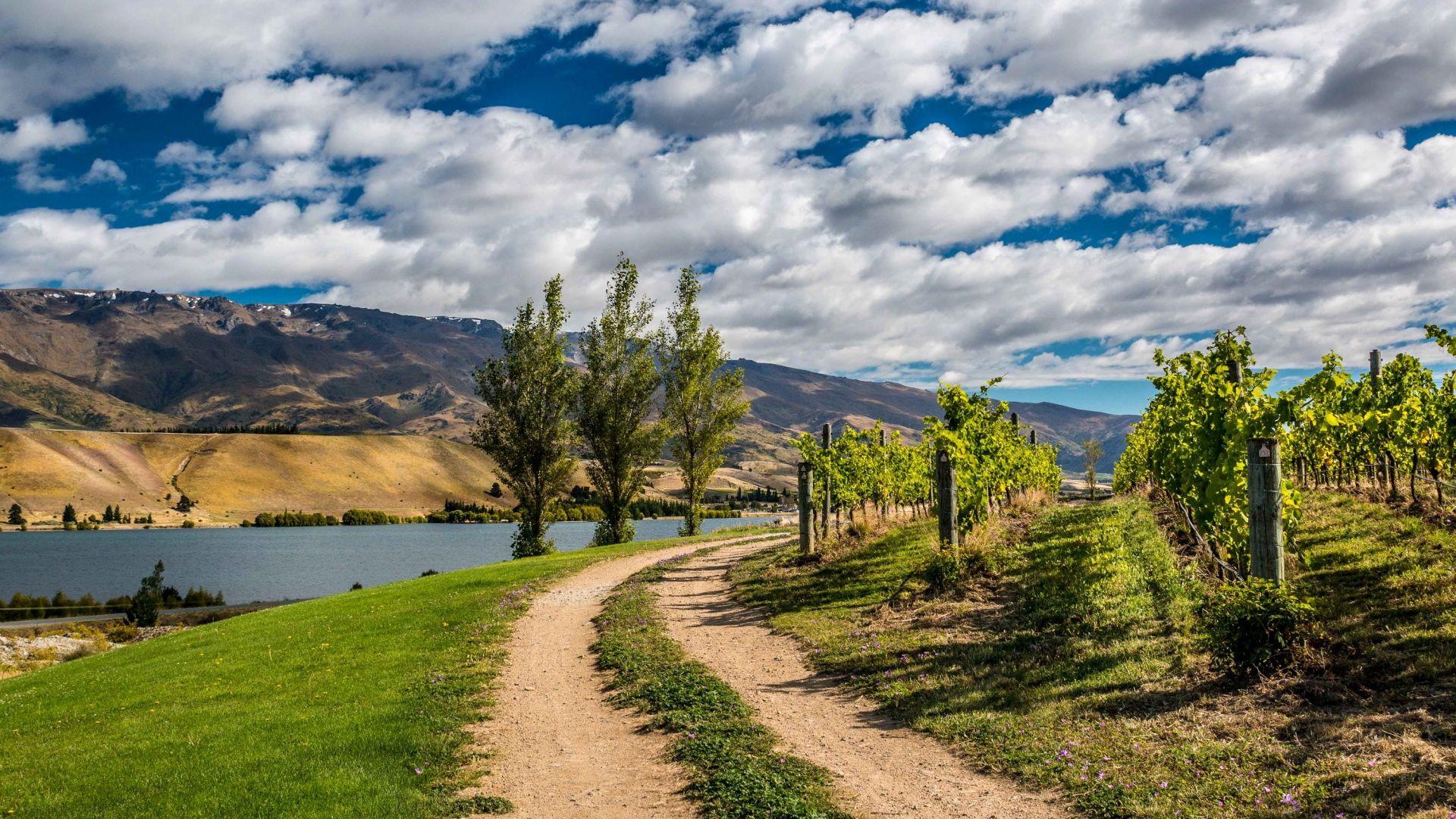 1920x1080 New Zealand
