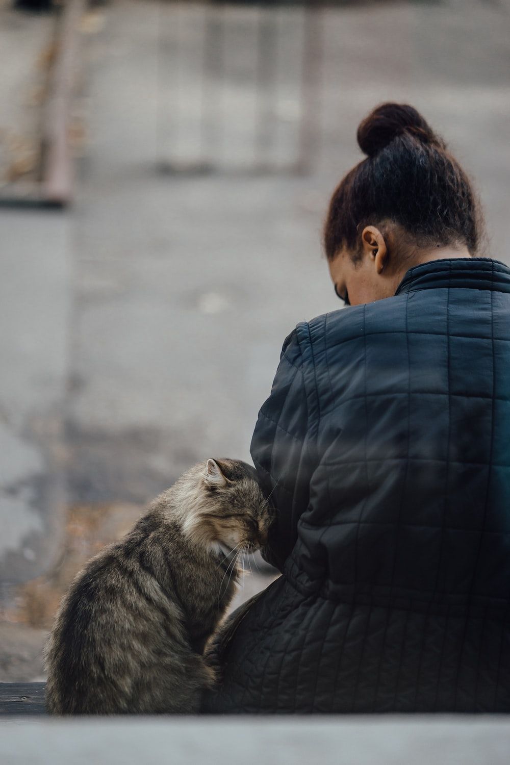 1000x1500 Girl And Cat Picture. Download Free Image