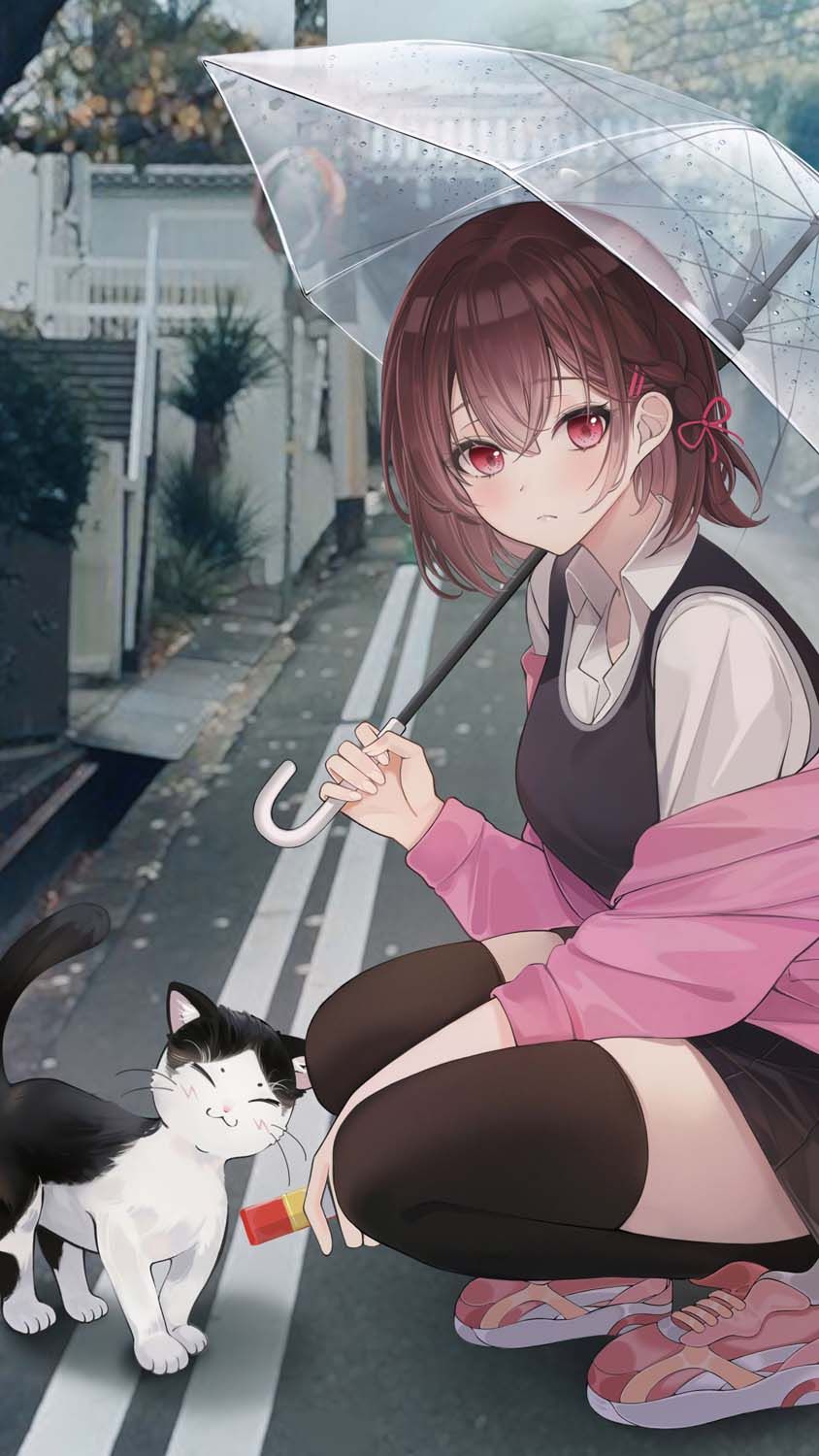 844x1500 Girl with Cat iPhone Wallpaper HD Wallpaper : iPhone Wallpaper