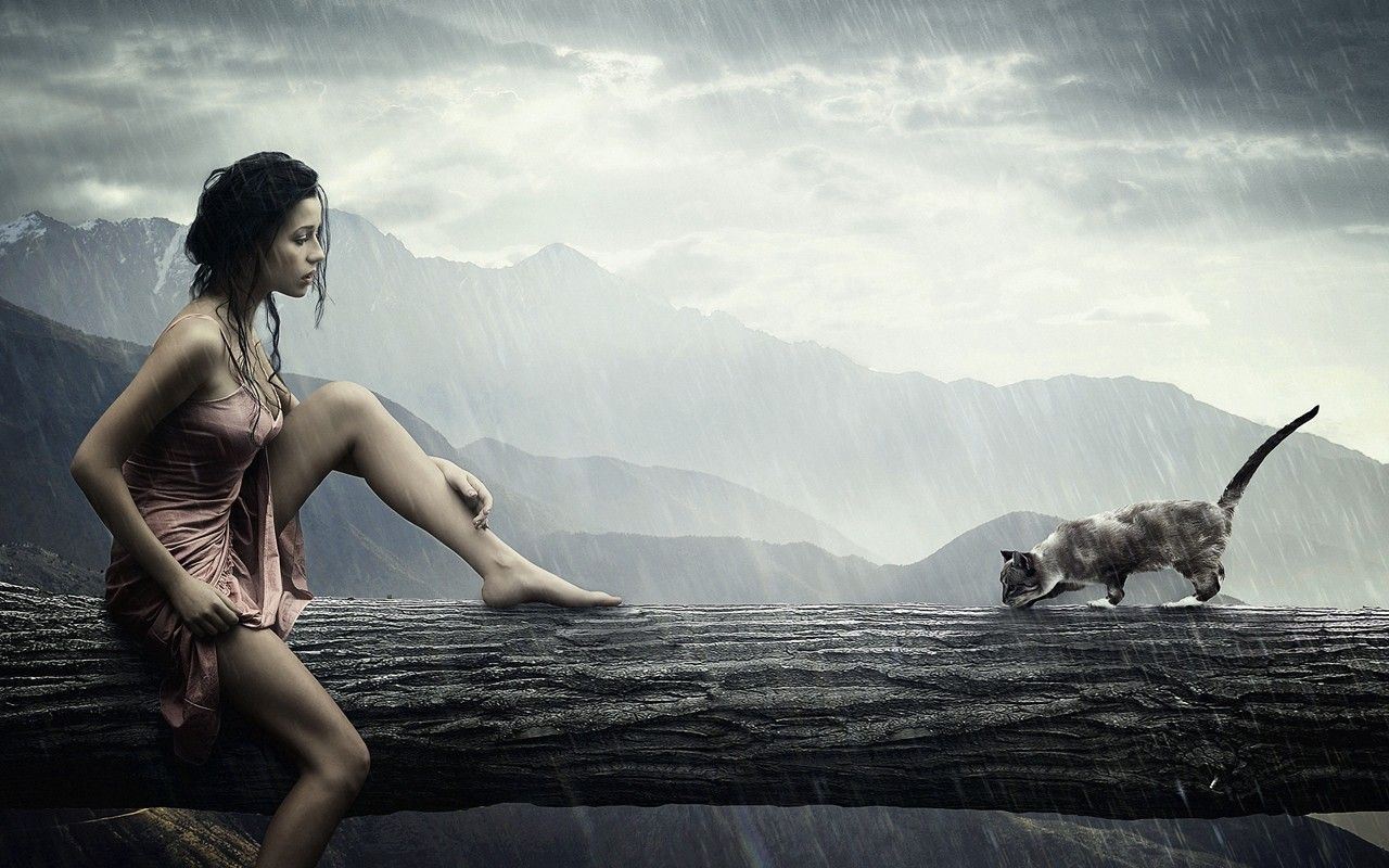 1280x800 Girl and cat sitting in the rain