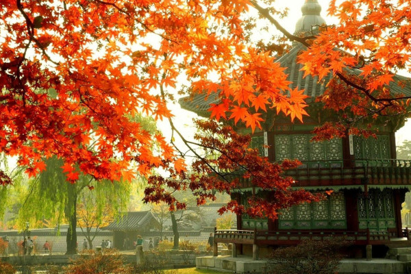 Korean Laptop Wallpapers - Top Free Korean Laptop Backgrounds