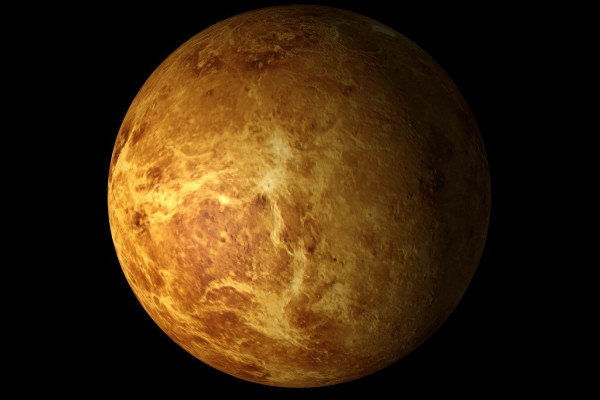 Venus Wallpaper