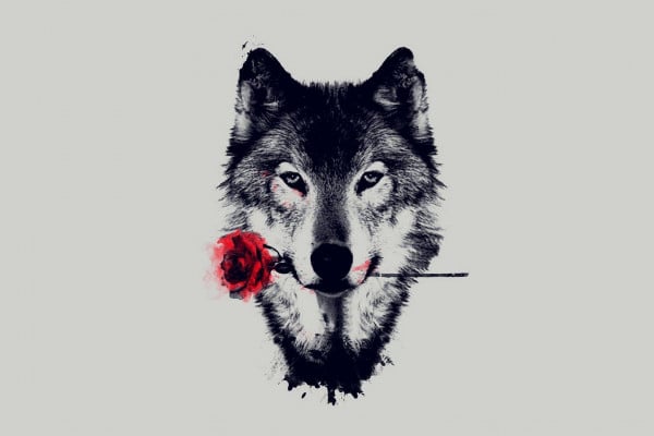 Wolf Art Wallpapers Top Free Wolf Art Backgrounds Wallpaperaccess