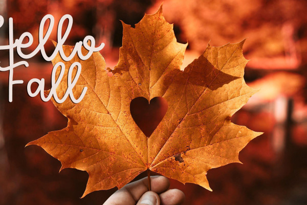 Simple Fall Wallpapers - Top Free Simple Fall Backgrounds - WallpaperAccess