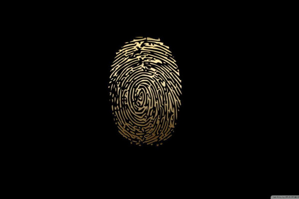Fingerprint Background Images - Free Download on Freepik