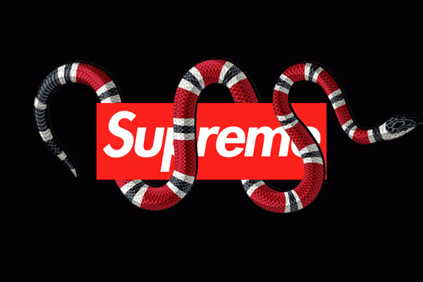 Supreme Gucci Wallpapers - Top Free