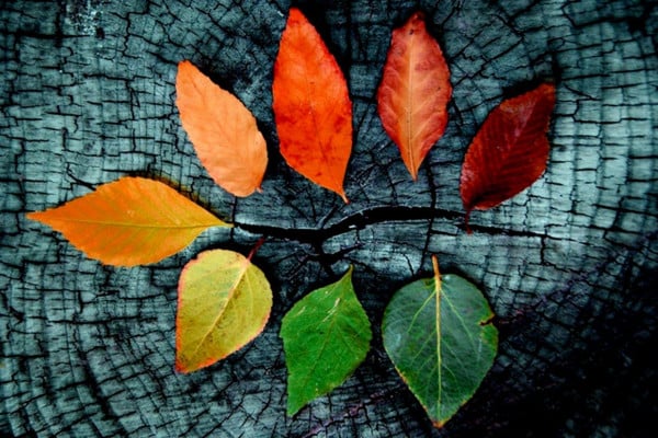 Autumn Desktop Wallpapers Top Free Backgrounds Wallpaperaccess - Fall Autumn Wallpaper Desktop