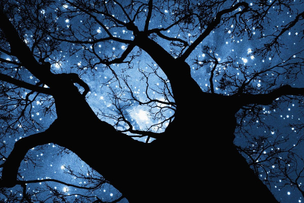 Albert Einstein Desktop Wallpapers - Top Free Albert Einstein Desktop