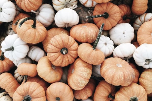 Aesthetic Pumpkin Wallpaper
