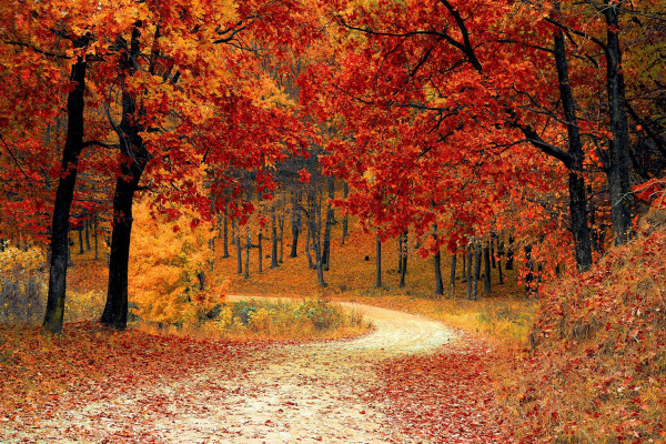 Seasons Wallpapers - Top Free Seasons Backgrounds - WallpaperAccess