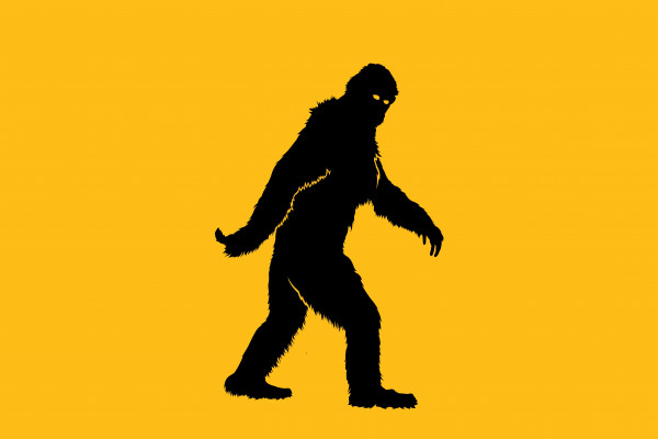 free Bigfoot Monster - Yeti Hunter for iphone download