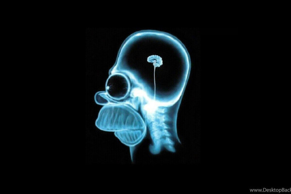 Homer Simpson Nike Wallpapers Top Free Homer Simpson Nike Backgrounds Wallpaperaccess