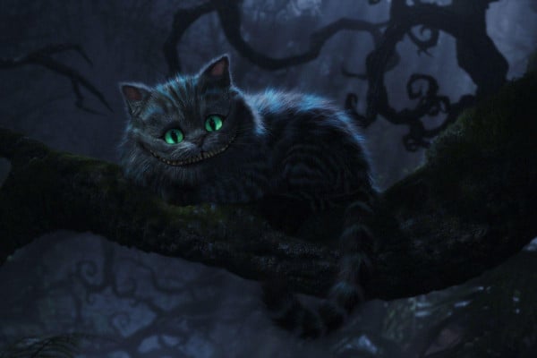 Cheshire Cat Wallpapers Top Free Backgrounds Wallpaperaccess - Cheshire Cat Wallpaper Phone
