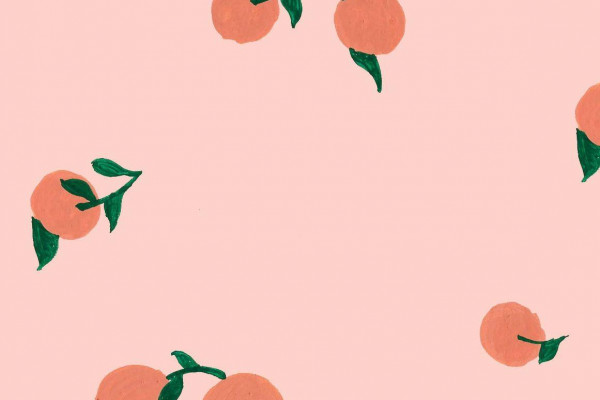 Peach Floral Wallpapers - Top Free Peach Floral Backgrounds ...