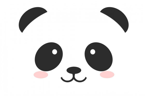 anime panda wallpapers  top free anime panda backgrounds