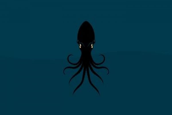 Player 456 squid game wallpaper by L3Kir - Download on ZEDGE™