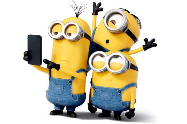 Funny Minions Wallpapers - Top Free Funny Minions Backgrounds ...