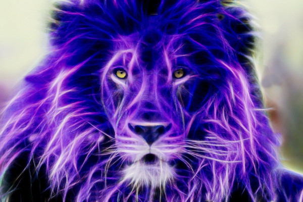 Purple Tiger Wallpapers - Top Free Purple Tiger Backgrounds