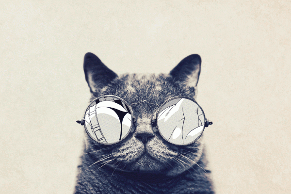 Hipster Cat Wallpaper