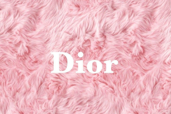 Christian Dior Logo Wallpaper