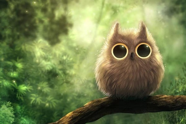 Cartoon Owl Desktop Wallpapers - Top Free Cartoon Owl Desktop ...