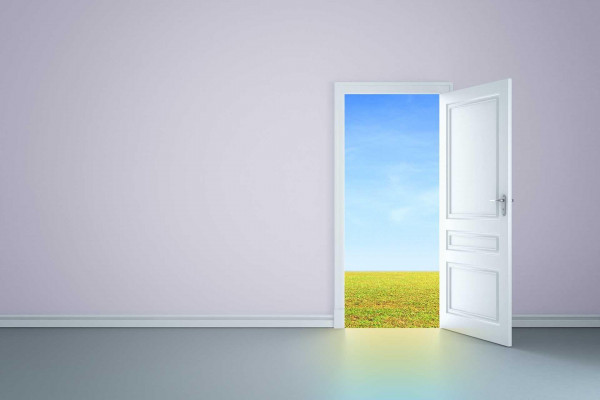 Doors / the figure wallpaper by TheLucianBrown - Download on ZEDGE™