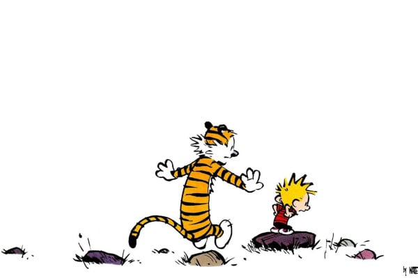 Calvin and Hobbes Wallpapers  Top Free Calvin and Hobbes Backgrounds   WallpaperAccess