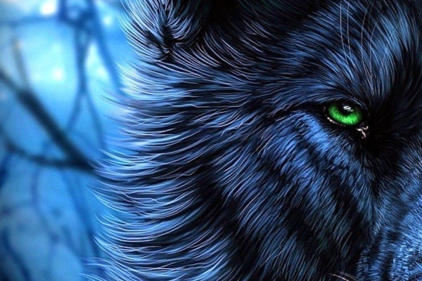 Wolf Phone Wallpapers - Top Free Wolf Phone Backgrounds - WallpaperAccess