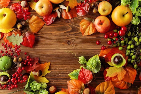 Apple Picking Wallpapers - Top Free Apple Picking Backgrounds