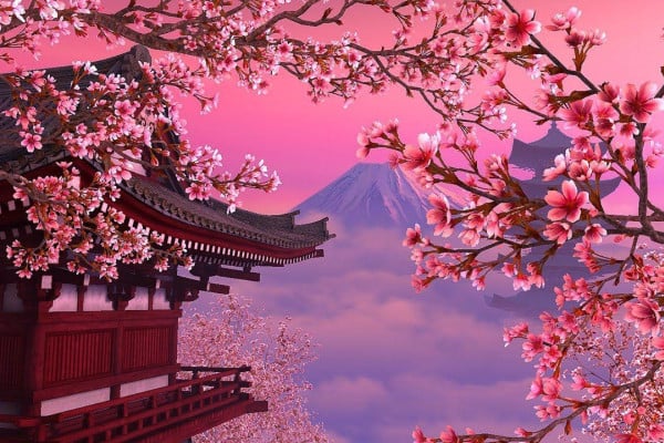 Tsunade Wallpapers - Top Free Tsunade Backgrounds - WallpaperAccess