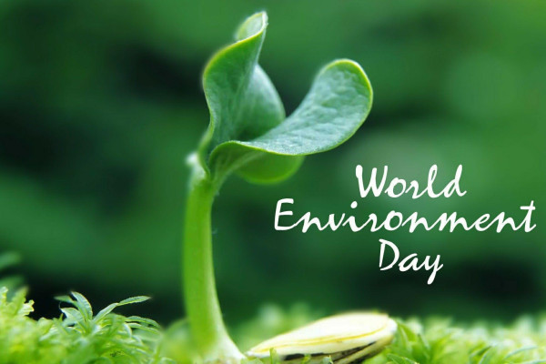World Environment Day Wallpaper