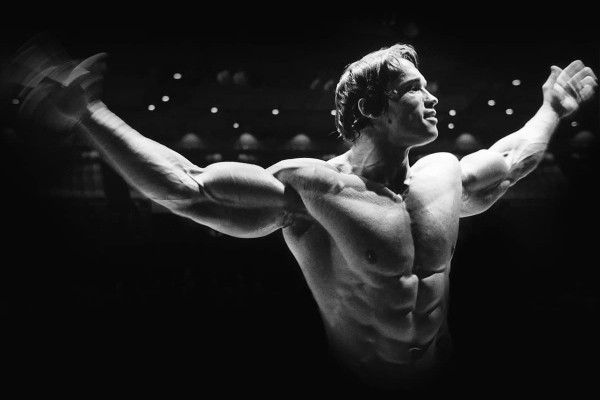 Arnold Pose Wallpaper