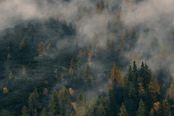 Mountain Fog Wallpapers - Top Free Mountain Fog Backgrounds ...
