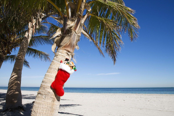Christmas Beach Wallpapers Top Free Christmas Beach Backgrounds Wallpaperaccess