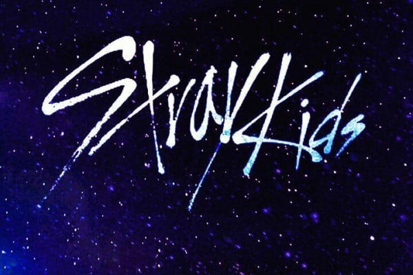 Stray Kids Aesthetic Laptop Wallpapers - Top Free Stray Kids Aesthetic ...