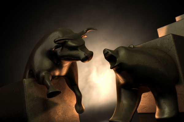 Stock Market Bull Vs Bear HD wallpaper  Pxfuel